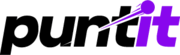 Puntit logo